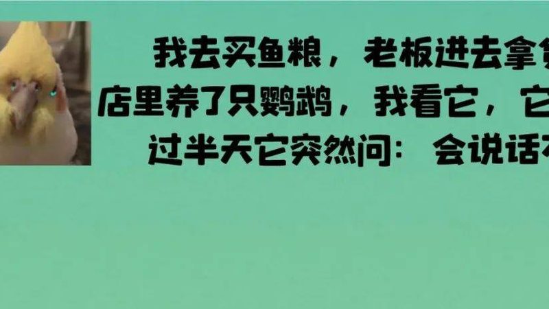 揭秘山东饼干生产厂家排名背后的秘密